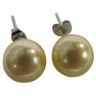 Beautifully Luxurious Yellow 12mm Oyster Shell Pearl stud Earrings