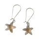 Sterling Silver Golden Shadow Star Fish Crystals Hoop Earrings