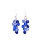 Sapphire Crystals Jewelry Light & Dark Tricolor Grape Bunch Earrings