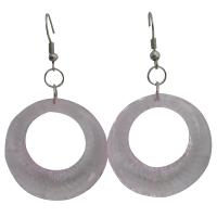 Clear Glass Hoop Earrings Dollar Earrings