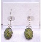 Traditional Ethnic Affordable Dollar Earrings in Olivine Green Colored